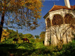 Discover Transylvania vacation