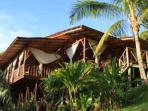 Osa Peninsula rainforest wildlife lodge in Costa Rica