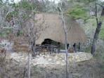 Saadani Safari accommodation