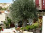 Troodos Mountains accommodation, Cyprus