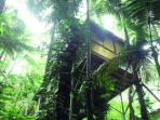 Daintree luxury accommodation, Queensland, Australia