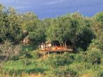 Kruger safari bush camp, South Africa