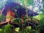 Daintree rainforest accommodation