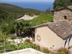 Ikaria Island vacation, organic farmstay villas in Greece
