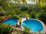 Weddings in St. Lucia
