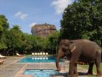 Sigiriya hotel in Sri Lanka