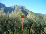 Maritime Alps walking vacation, Italy