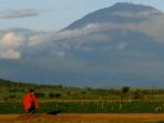 Kilimanjaro climb and Tanzania vacation