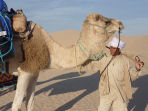 Sahara desert trek in Tunisia