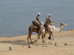Family Sinai and the Red Sea vacation, Egypt