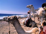 Sinai adventure vacation in Egypt