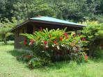Dominica ecolodge vacation