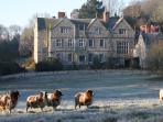 Shorwell bed and breakfast, Isle of Wight, England