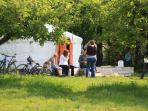 High Weald campsite in Sussex, England