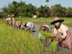 Burma cultural tour, Yangon and Mandalay