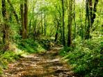 Self guided walking vacation in France