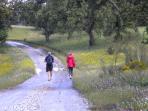 Self guided walking vacations in Portugal