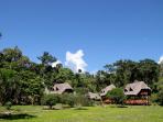 Manu rainforest trek in Peru