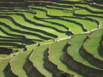 Northern Vietnam vacation, unveiled