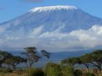 Private tailor made Kilimanjaro, Machame route