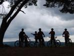 Surrey Hills adventure tours