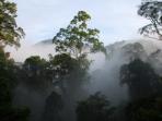 Borneo and Malay Peninsula vacation