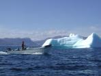 Newfoundland vacations, Viking trail