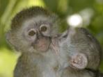 Malawi volunteering vacation