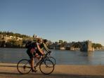 Self guided cycling tour in the Arles countryside, France