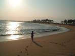 Sri Lanka wildlife and whales tour