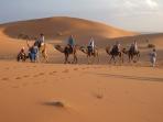 Sahara Desert camel trek, Morocco
