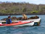 Galapagos activity & wildlife vacation, land based