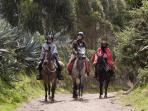 Horse riding in Ecuador