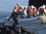 Ecuador and Galapagos vacation