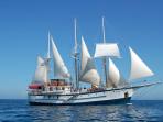 Galapagos vacation cruise options