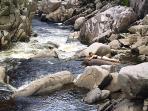 Scottish Highlands, nature activity vacations