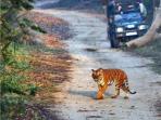 India adventure vacation