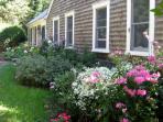 Cape Cod bed and breakfast, Massachusetts