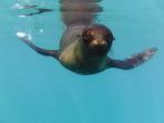 Galapagos family adventure vacation