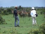 Colourful Kenya safari, tailor made