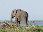Malawi community & conservation volunteering