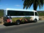 Barossa Valley wine tasting day tours, South Australia