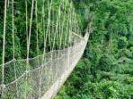Nature and culture tours in Ghana