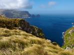 New Zealand and Subantarctic Islands cruise