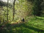 Wye Valley railway cafe & walks, Wales 