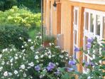 Korinth bed and breakfast, Denmark
