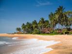 Honeymoon to Sri Lanka