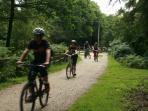 New Forest cycle hire, England