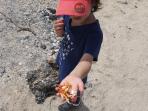 Galapagos family vacation, hotel based