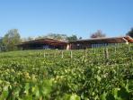 Balgownie Estate Vineyard Resort & Spa, Australia